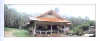 บ้านเดี่ยวหลุดจำนอง ธ.ธนาคารกรุงไทย สงขลา สะเดา ท่าโพธิ์