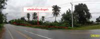 ที่ดินเปล่าหลุดจำนอง ธ.ธนาคารกรุงไทย เพชรบุรี ท่ายาง เขากระปุก