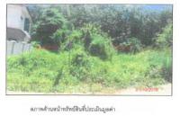 ที่ดินเปล่าหลุดจำนอง ธ.ธนาคารกรุงไทย สงขลา หาดใหญ่ คอหงส์