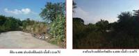 ที่ดินเปล่าหลุดจำนอง ธ.ธนาคารกรุงไทย พระนครศรีอยุธยา ผักไห่ ตาลาน