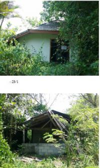 ที่ดินพร้อมสิ่งปลูกสร้างหลุดจำนอง ธ.ธนาคารกรุงไทย นครศรีธรรมราช ทุ่งสง หนองหงส์