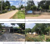 ที่ดินพร้อมสิ่งปลูกสร้างหลุดจำนอง ธ.ธนาคารกรุงไทย สงขลา สะเดา ท่าโพธิ์