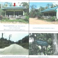 ตึกแถวหลุดจำนอง ธ.ธนาคารกรุงไทย สงขลา หาดใหญ่ พะตง