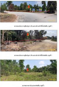 ที่ดินเปล่าหลุดจำนอง ธ.ธนาคารกรุงไทย ชุมพร เมืองชุมพร ขุนกระทิง