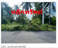 ที่ดินเปล่าหลุดจำนอง ธ.ธนาคารกรุงไทย สุราษฎร์ธานี เมืองสุราษฎร์ธานี คลองฉนาก