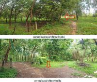 ที่ดินเปล่าหลุดจำนอง ธ.ธนาคารกรุงไทย สกลนคร คำตากล้า คำตากล้า