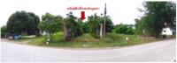 ที่ดินพร้อมสิ่งปลูกสร้างหลุดจำนอง ธ.ธนาคารออมสิน เพชรบูรณ์ หนองไผ่ นาเฉลียง