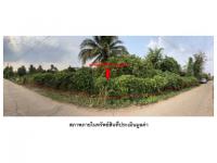 ที่ดินหลุดจำนอง ธ.ธนาคารออมสิน เพชรบูรณ์ เมืองเพชรบูรณ์ ท่าพล