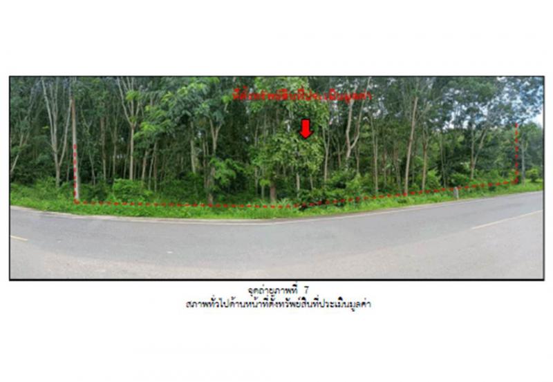 ที่ดินหลุดจำนอง ธ.ธนาคารออมสิน พัทลุง ป่าพะยอม บ้านพร้าว