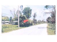ที่ดินหลุดจำนอง ธ.ธนาคารออมสิน ปัตตานี หนองจิก บ่อทอง
