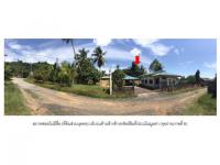 ที่ดินพร้อมสิ่งปลูกสร้างหลุดจำนอง ธ.ธนาคารออมสิน สตูล ทุ่งหว้า นาทอน