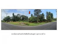 ที่ดินหลุดจำนอง ธ.ธนาคารออมสิน อุบลราชธานี พิบูลมังสาหาร โพธิ์ไทร