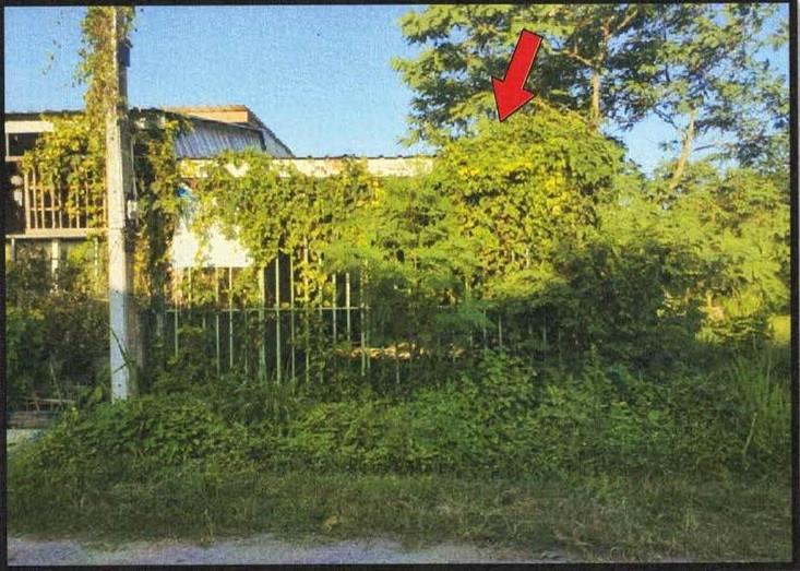 บ้านเดี่ยวหลุดจำนอง ธ.ธนาคารอาคารสงเคราะห์ ชลบุรี บ่อทอง บ่อกวางทอง