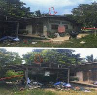 บ้านเดี่ยวหลุดจำนอง ธ.ธนาคารอาคารสงเคราะห์ เพชรบุรี ชะอำ เขาใหญ่