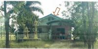 บ้านเดี่ยวหลุดจำนอง ธ.ธนาคารอาคารสงเคราะห์ ราชบุรี โพธาราม เตาปูน
