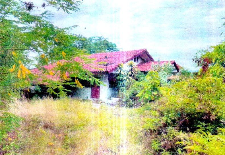 บ้านเดี่ยวหลุดจำนอง ธ.ธนาคารอาคารสงเคราะห์ บุรีรัมย์ เฉลิมพระเกียรติ เจริญสุข