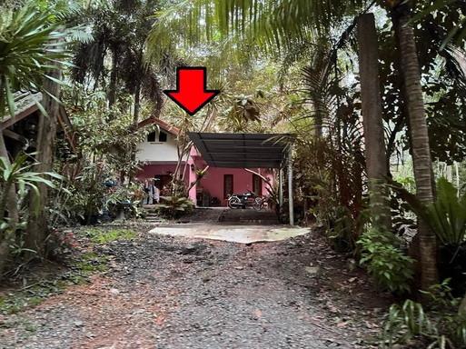 บ้านเดี่ยวหลุดจำนอง ธ.ธนาคารอาคารสงเคราะห์ ตรัง เมืองตรัง -