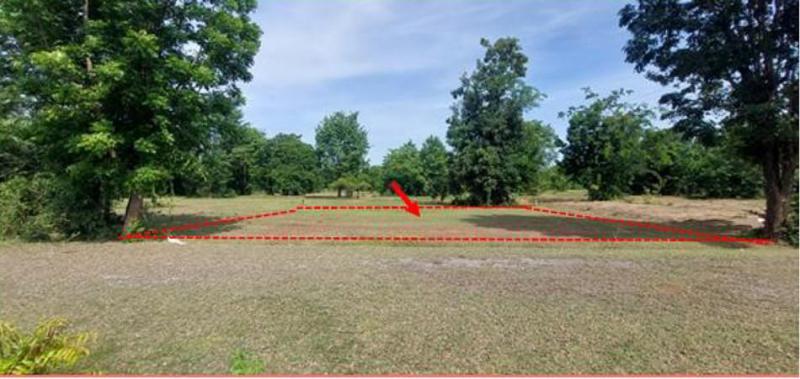 ที่ดินหลุดจำนอง ธ.ธนาคารอาคารสงเคราะห์ นครราชสีมา โชคชัย ทุ่งอรุณ