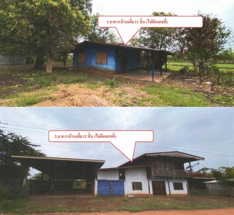 บ้านเดี่ยวหลุดจำนอง ธ.ธนาคารอาคารสงเคราะห์ สกลนคร เมืองสกลนคร เชียงเครือ