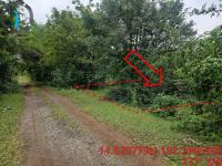 ที่ดินหลุดจำนอง ธ.ธนาคารอาคารสงเคราะห์ นครราชสีมา โชคชัย ทุ่งอรุณ