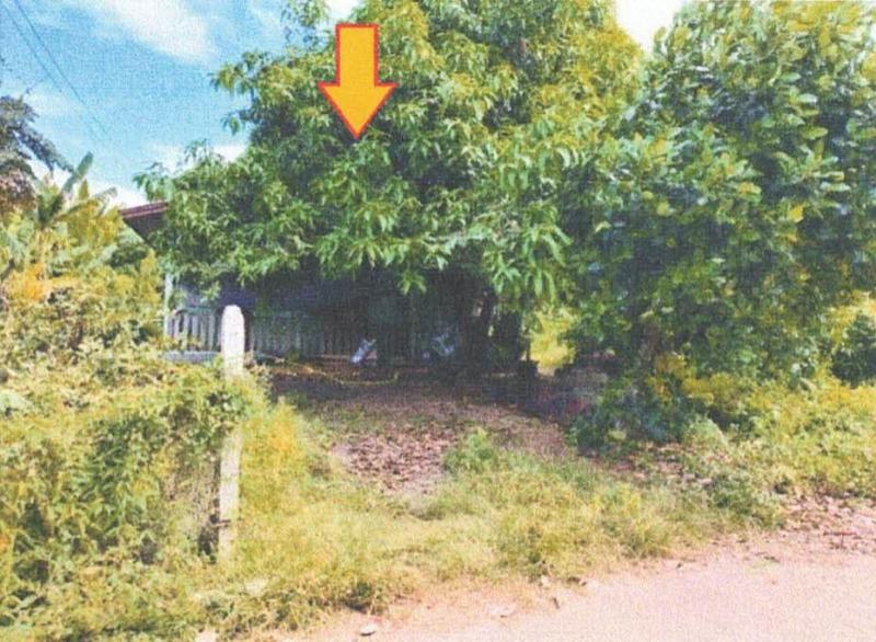 บ้านเดี่ยวหลุดจำนอง ธ.ธนาคารอาคารสงเคราะห์ เพชรบูรณ์ เมืองเพชรบูรณ์ ป่าเลา