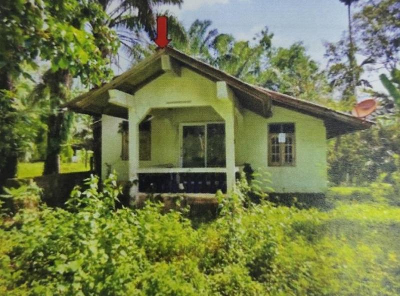 บ้านเดี่ยวหลุดจำนอง ธ.ธนาคารอาคารสงเคราะห์ นครศรีธรรมราช ทุ่งใหญ่ ท่ายาง
