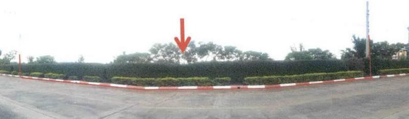 ที่ดินหลุดจำนอง ธ.ธนาคารอาคารสงเคราะห์ กาญจนบุรี ห้วยกระเจา สระลงเรือ