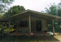 บ้านเดี่ยวหลุดจำนอง ธ.ธนาคารอาคารสงเคราะห์ ตรัง วังวิเศษ เขาวิเศษ
