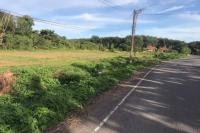 ที่ดินว่างเปล่าหลุดจำนอง ธ.ธนาคารกสิกรไทย นครศรีธรรมราช ทุ่งสง ถ้ำใหญ่