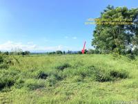ที่ดินว่างเปล่าหลุดจำนอง ธ.ธนาคารกสิกรไทย พะเยา เมืองพะเยา ท่าวังทอง