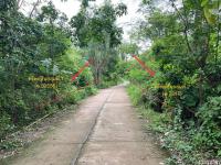 ที่ดินว่างเปล่าหลุดจำนอง ธ.ธนาคารกสิกรไทย นครพนม เรณูนคร หนองย่างชิ้น