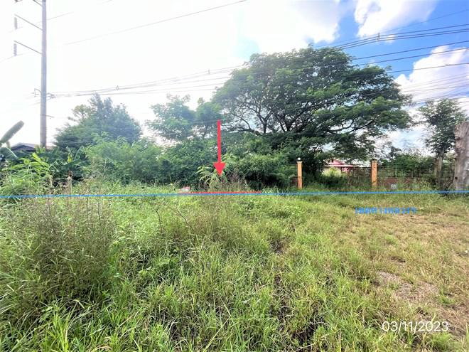 ที่ดินว่างเปล่าหลุดจำนอง ธ.ธนาคารกสิกรไทย เพชรบูรณ์ วิเชียรบุรี พุขาม