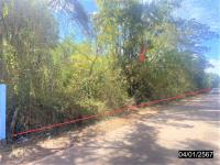 ที่ดินว่างเปล่าหลุดจำนอง ธ.ธนาคารกสิกรไทย หนองคาย เมืองหนองคาย โพนสว่าง