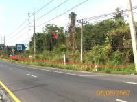 ที่ดินว่างเปล่าหลุดจำนอง ธ.ธนาคารกสิกรไทย พังงา ตะกั่วป่า คึกคัก