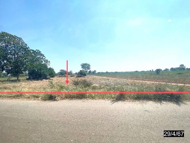 ที่ดินว่างเปล่าหลุดจำนอง ธ.ธนาคารกสิกรไทย ชัยภูมิ จัตุรัส หนองโดน