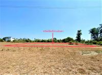 ที่ดินว่างเปล่าหลุดจำนอง ธ.ธนาคารกสิกรไทย สงขลา จะนะ บ้านนา