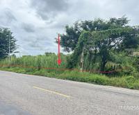 ที่ดินว่างเปล่าหลุดจำนอง ธ.ธนาคารกสิกรไทย พิจิตร ตะพานหิน งิ้วราย