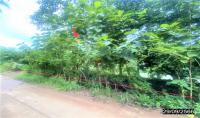 ที่ดินว่างเปล่าหลุดจำนอง ธ.ธนาคารกสิกรไทย หนองบัวลำภู นากลาง กุดดินจี่