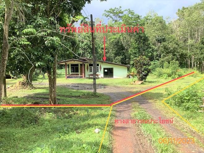 บ้านเดี่ยวหลุดจำนอง ธ.ธนาคารกสิกรไทย ตรัง นาโยง ละมอ