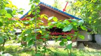 บ้านเดี่ยวหลุดจำนอง ธ.ธนาคารกสิกรไทย แพร่ ลอง ห้วยอ้อ