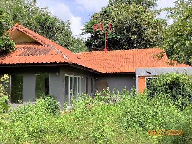 บ้านเดี่ยวหลุดจำนอง ธ.ธนาคารกสิกรไทย ตรัง วังวิเศษ วังมะปรางเหนือ