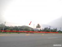 โกดังหลุดจำนอง ธ.ธนาคารกสิกรไทย เลย ท่าลี่ หนองผือ