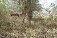 ที่ดินว่างเปล่าหลุดจำนอง ธ.ธนาคารไทยพาณิชย์ •ขอนแก่น •บ้านฝาง •หนองบัว